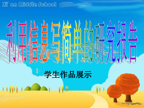 写简单研究报告ppt课件