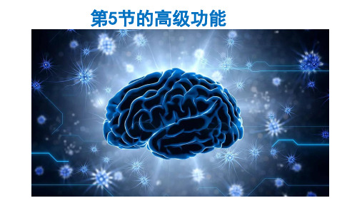 【新教材人教版生物】人脑的高级功能PPT课文分析1