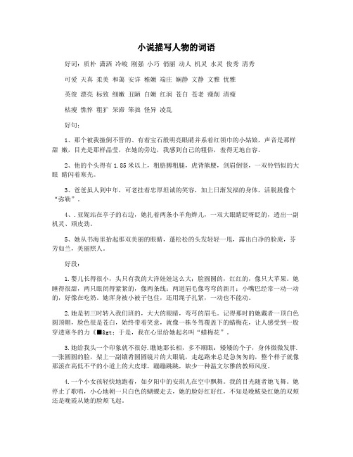 小说描写人物的词语