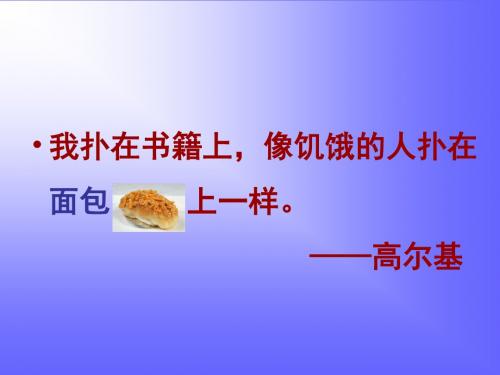 《面包发霉了》课件