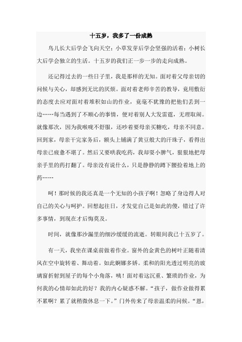 作文 十五岁,我多了一份……