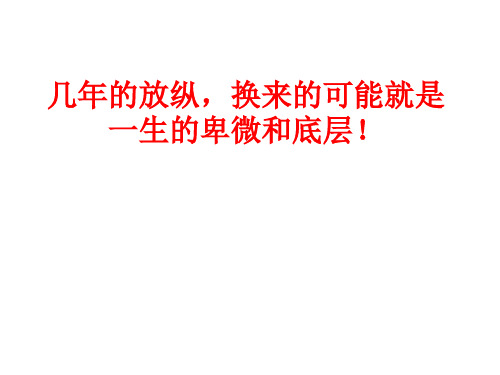 放纵的代价