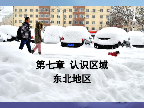 八年级地理下册 7.1 东北地区教案 (新版)粤教版