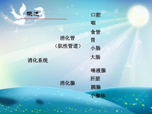 老年人消化系统疾病患者的护理课件