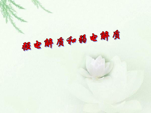 电解质溶液会考复习-PPT精选文档38页