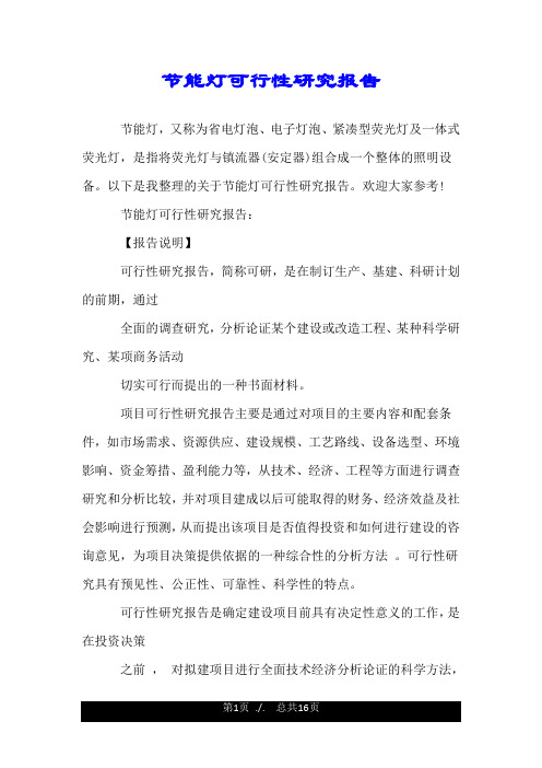 节能灯可行性研究报告.doc