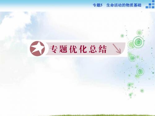 高二化学苏教版选修5 专题5 生命活动的物质基础 专题优化总结 课件(35张)