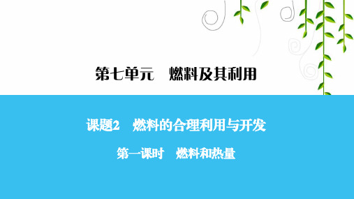 人教版九年级化学第一课时 燃料和热量课件