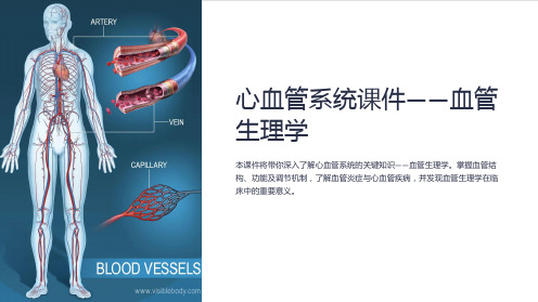 心血管系统课件-血管生理学