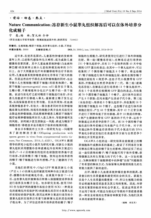 Nature Communication：冻存新生小鼠睾丸组织解冻后可以在体外培养分化成精子