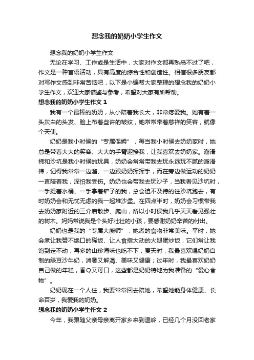 想念我的奶奶小学生作文