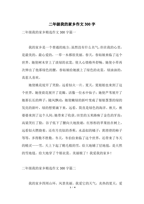 二年级我的家乡作文300字