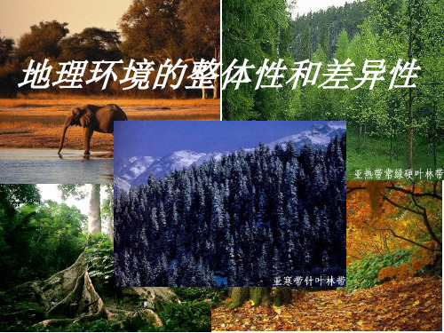 整体性和差异性