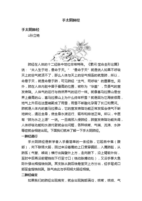 手太阴肺经