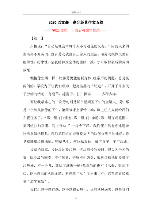 2020语文高一高分经典作文五篇
