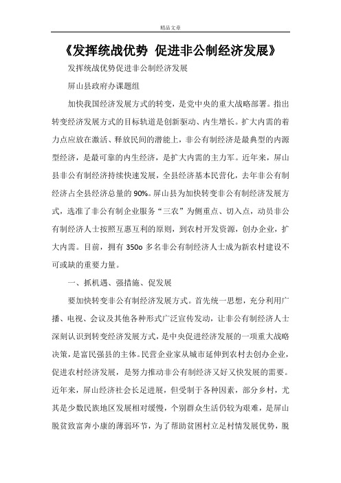 《发挥统战优势促进非公制经济发展》