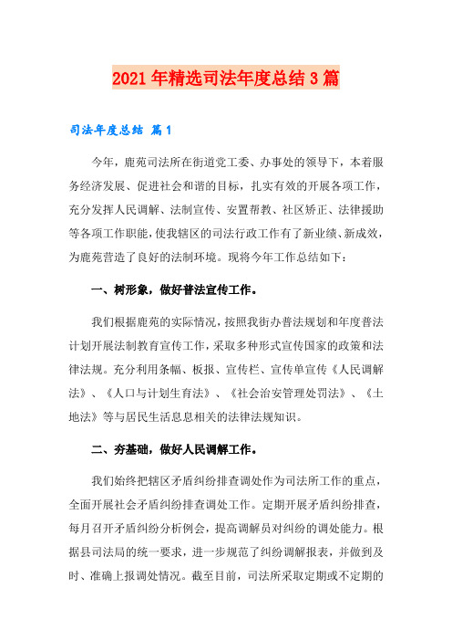 2021年精选司法年度总结3篇【模板】