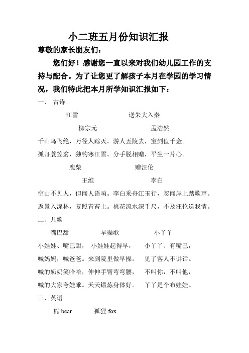 幼儿园小二班学期汇报