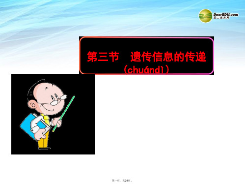 高中生物 3.3遗传信息的传递课件 浙科版必修2