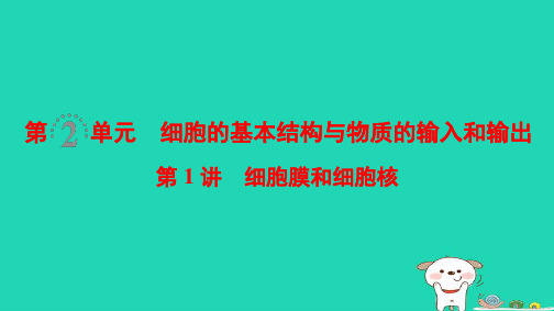 全国版2019版高考生物一轮复习第2单元细胞的基本结构与物质的输入和输出第1讲细胞膜和细胞核课