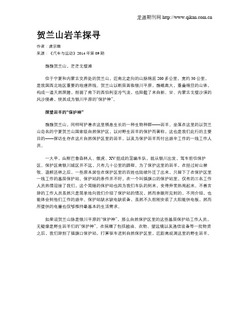贺兰山岩羊探寻