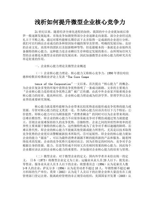 浅析如何提升微型企业核心竞争力
