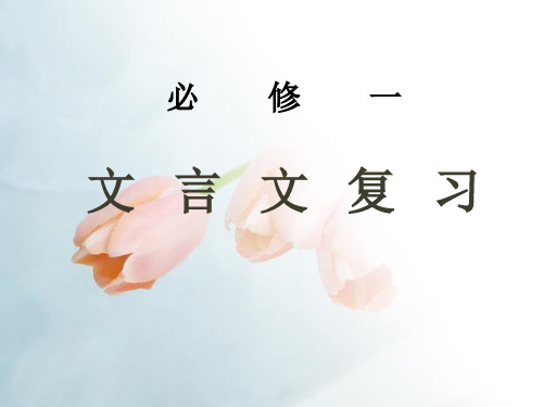 2020高中语文必修一文言文复习
