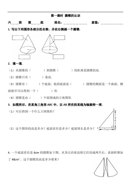 六年级下册数学试题-第一课时 圆锥的认识(无答案) 人教版