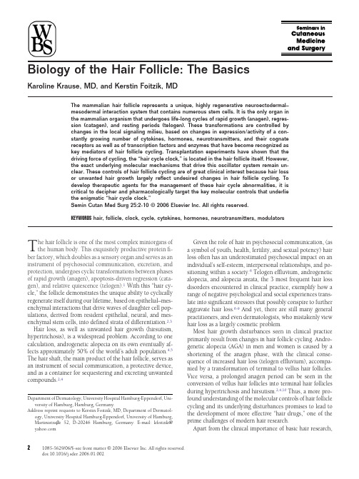 Biology of the Hair Follicle The Basics