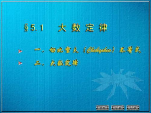 第五大数定律和中心极限定理-精品