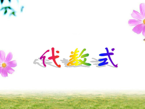 华东师大版七年级数学上册3.1《代数式》课件 (共17张PPT)