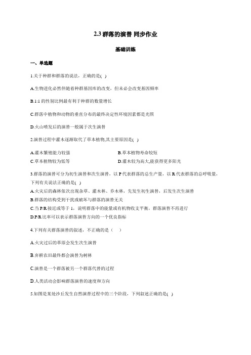 2.3群落的演替 基础训练 同步练习【新教材】人教版(2019)高二生物选择性必修二