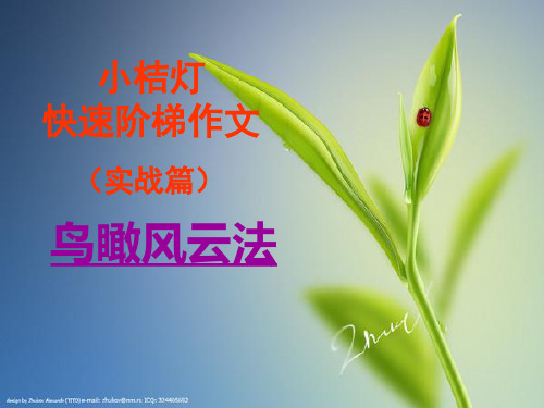 小学作文阅读第十三讲“鸟瞰风云法”