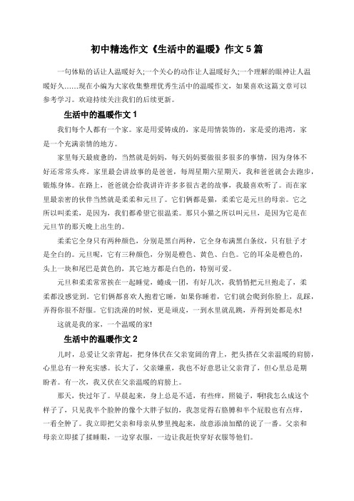 初中精选作文《生活中的温暖》作文5篇