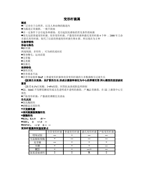 变形杆菌属