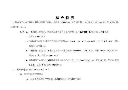 综合治理工程形象进度表9月29