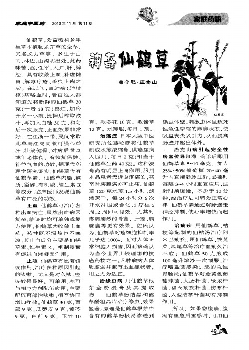 神奇仙鹤草