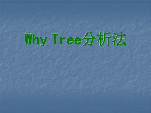 Whytree分析法