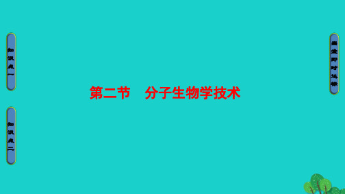 2016_2017学年高中生物第4章生物化学与分子生物学技术实践第2节分子生物学技术课件