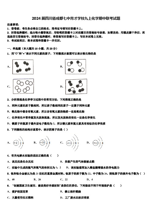 2024届四川省成都七中育才学校九上化学期中联考试题含解析