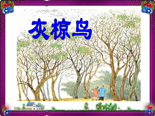 《灰椋鸟》PPT 省一等奖课件 2  省一等奖课件
