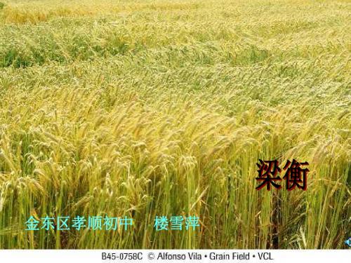 初中语文《夏感》(共36张)ppt67