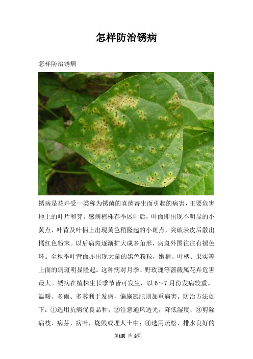 怎样防治锈病