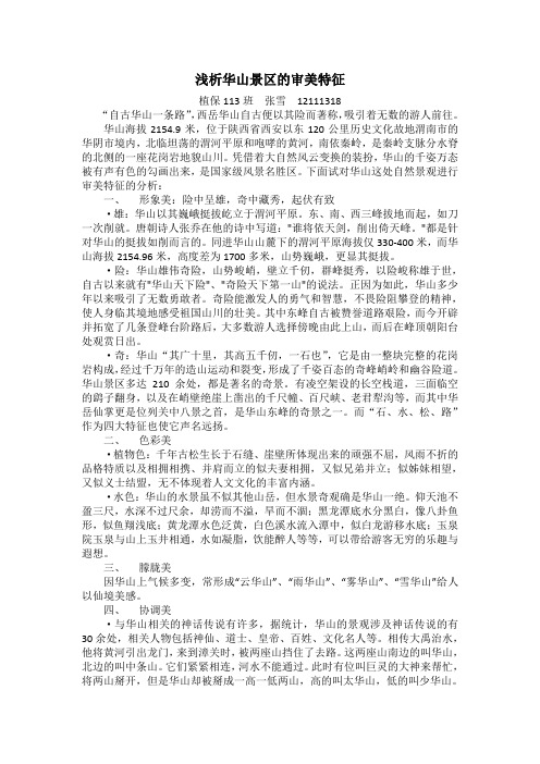 浅析华山景区的审美特征