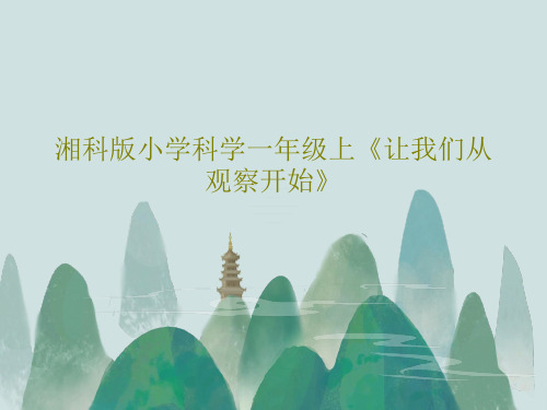 湘科版小学科学一年级上《让我们从观察开始》共18页文档