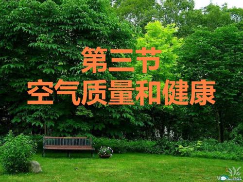 _第三节、空气质量和健康ppt课件