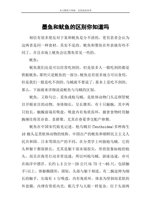墨鱼和鱿鱼的区别你知道吗