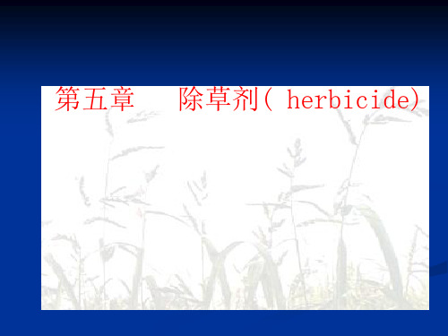 除草剂分类和使用方法PPT课件