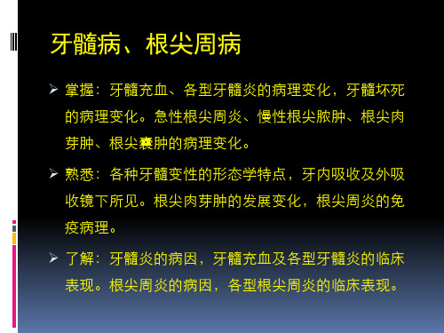 口腔组织病理学 ：牙髓、根尖病