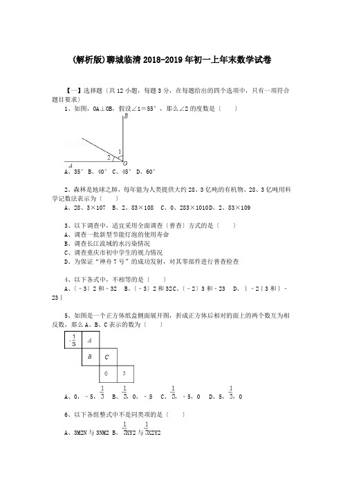 (解析版)聊城临清2018-2019年初一上年末数学试卷.doc